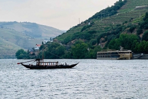 Voyage dans la vallée du Douro : 4 villes et un domaine viticole tout compris