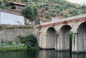 Voyage dans la vallée du Douro : 4 villes et un domaine viticole tout compris