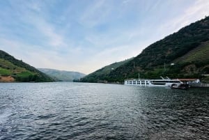 Voyage dans la vallée du Douro : 4 villes et un domaine viticole tout compris