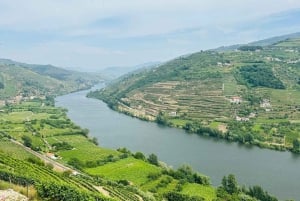 Voyage dans la vallée du Douro : 4 villes et un domaine viticole tout compris