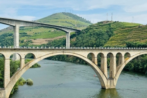 Douro Valley Journey: 4 Cities and Wine Estate All-Included