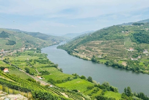 Douro Valley Journey: 4 Cities and Wine Estate All-Included