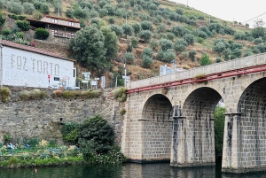 Douro Valley Journey: 4 Cities and Wine Estate All-Included