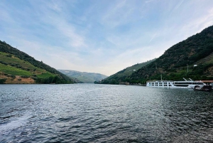 Douro Valley Journey: 4 Cities and Wine Estate All-Included