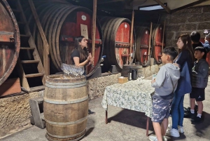 DOURO-TAL: Premium-Weintour, Mittagessen in einem Weingut und private Bootstour