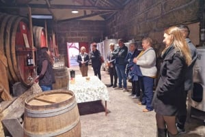 DOURO-TAL: Premium-Weintour, Mittagessen in einem Weingut und private Bootstour