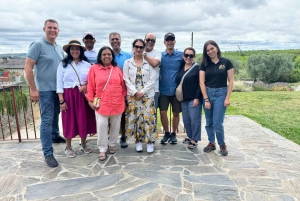 DOURO-TAL: Premium-Weintour, Mittagessen in einem Weingut und private Bootstour