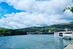 DOURO-TAL: Premium-Weintour, Mittagessen in einem Weingut und private Bootstour