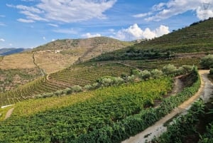 DOURO-TAL: Premium-Weintour, Mittagessen in einem Weingut und private Bootstour