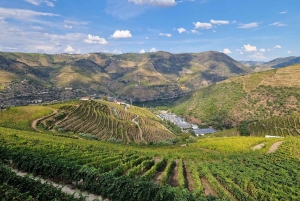 DOURO-TAL: Premium-Weintour, Mittagessen in einem Weingut und private Bootstour