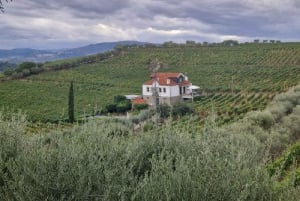 DOURO-TAL: Premium-Weintour, Mittagessen in einem Weingut und private Bootstour