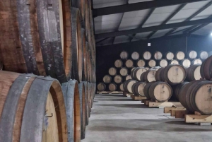 DOURO-TAL: Premium-Weintour, Mittagessen in einem Weingut und private Bootstour