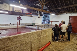 DOURO-TAL: Premium-Weintour, Mittagessen in einem Weingut und private Bootstour