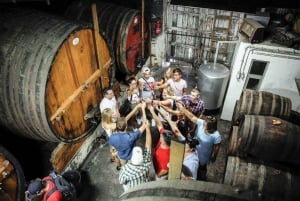 DOURO-TAL: Premium-Weintour, Mittagessen in einem Weingut und private Bootstour