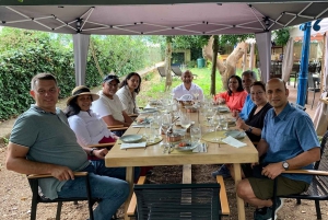 DOURO-TAL: Premium-Weintour, Mittagessen in einem Weingut und private Bootstour