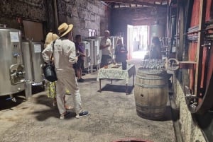 DOURO-TAL: Premium-Weintour, Mittagessen in einem Weingut und private Bootstour