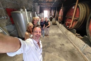 DOURO-TAL: Premium-Weintour, Mittagessen in einem Weingut und private Bootstour
