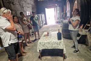 DOURO-TAL: Premium-Weintour, Mittagessen in einem Weingut und private Bootstour