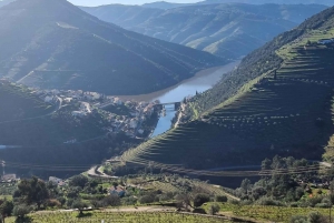 DOURO-TAL: Premium-Weintour, Mittagessen in einem Weingut und private Bootstour