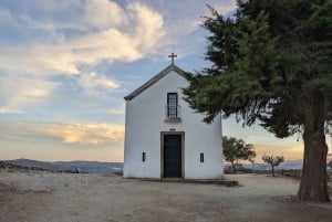 DOURO-TAL: Premium-Weintour, Mittagessen in einem Weingut und private Bootstour