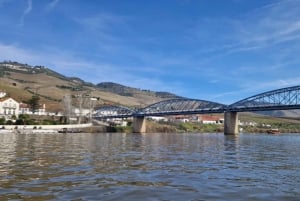 DOURO-TAL: Premium-Weintour, Mittagessen in einem Weingut und private Bootstour