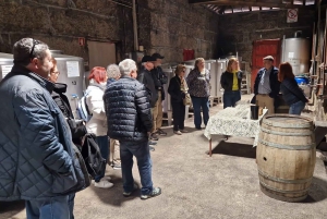 DOURO-TAL: Premium-Weintour, Mittagessen in einem Weingut und private Bootstour