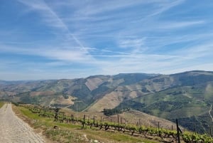 DOURO-TAL: Premium-Weintour, Mittagessen in einem Weingut und private Bootstour