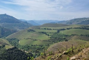 DOURO-TAL: Premium-Weintour, Mittagessen in einem Weingut und private Bootstour