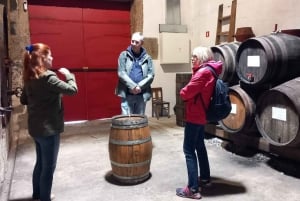DOURO-TAL: Premium-Weintour, Mittagessen in einem Weingut und private Bootstour