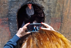 DOURO-TAL: Premium-Weintour, Mittagessen in einem Weingut und private Bootstour