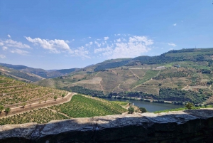DOURO-TAL: Premium-Weintour, Mittagessen in einem Weingut und private Bootstour
