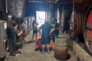 DOURO-TAL: Premium-Weintour, Mittagessen in einem Weingut und private Bootstour