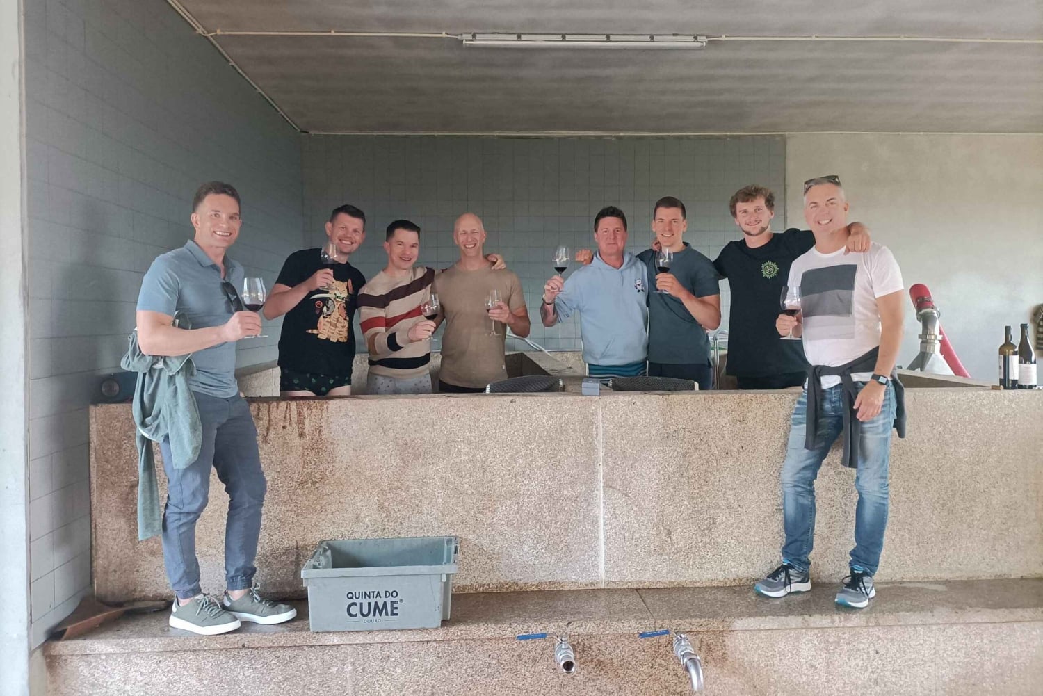 Valle del Douro: Tour privato di un sommelier con 3 cantine e pranzo