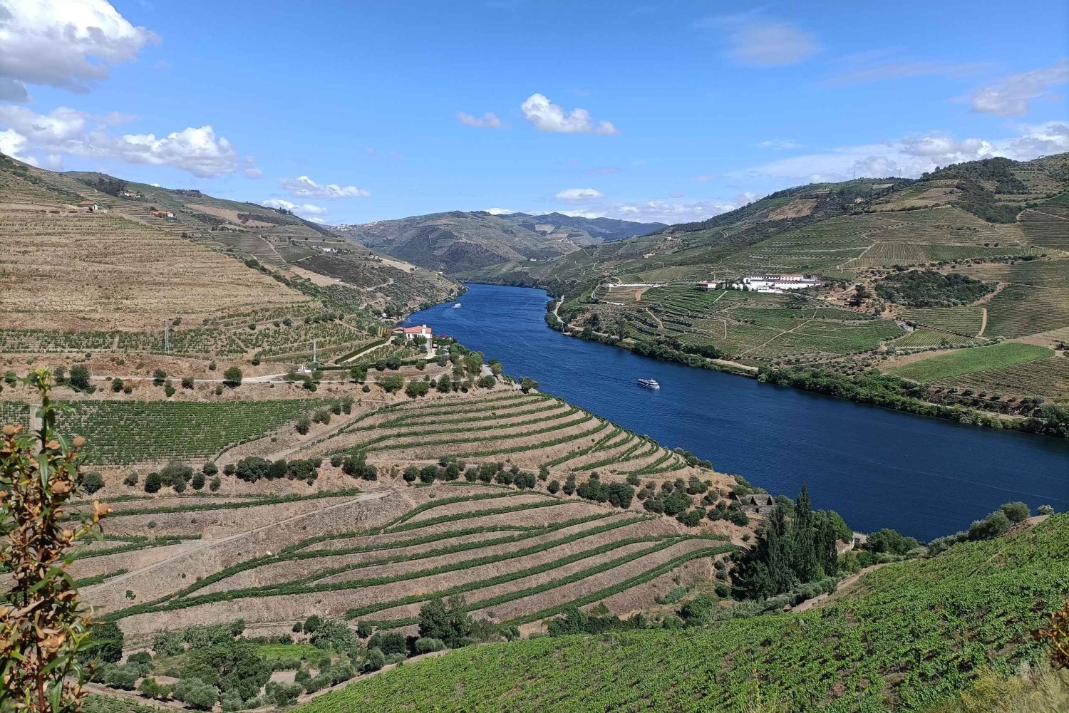 Valle del Douro: Tour privato di un sommelier con 3 cantine e pranzo