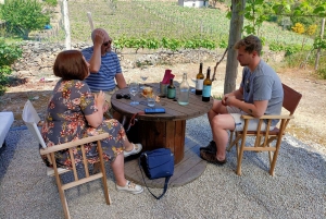 Douro-dalen: Privat omvisning med 3 vingårder og lunsj