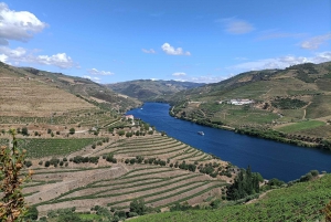 Douro-dalen: Privat omvisning med 3 vingårder og lunsj