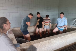 Douro-dalen: Privat omvisning med 3 vingårder og lunsj