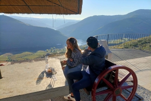 Valle del Douro: Tour privato di un sommelier con 3 cantine e pranzo