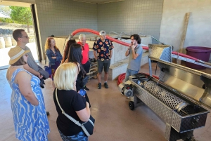 Valle del Douro: Tour privato di un sommelier con 3 cantine e pranzo