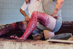 Valle del Douro: Tour privato di un sommelier con 3 cantine e pranzo