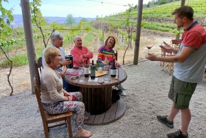 Valle del Douro: Tour privato di un sommelier con 3 cantine e pranzo