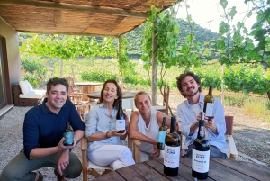 Valle del Douro: Tour privato di un sommelier con 3 cantine e pranzo