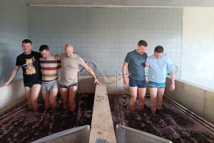 Valle del Douro: Tour privato di un sommelier con 3 cantine e pranzo