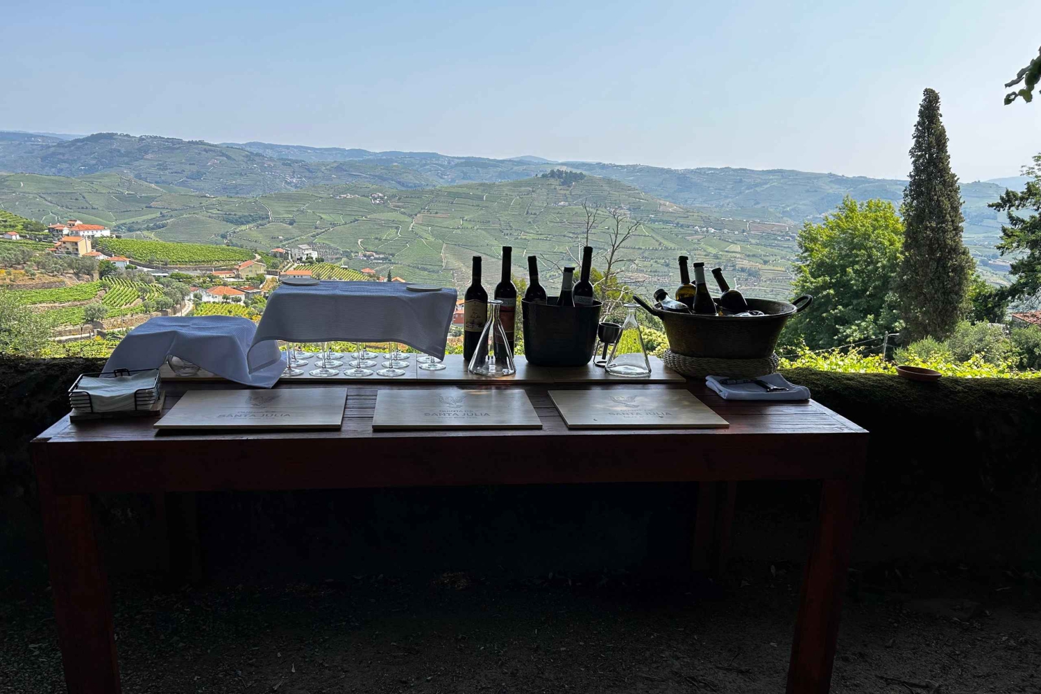 Valle del Douro: tour privato e degustazione guidata di vino e olio d'oliva