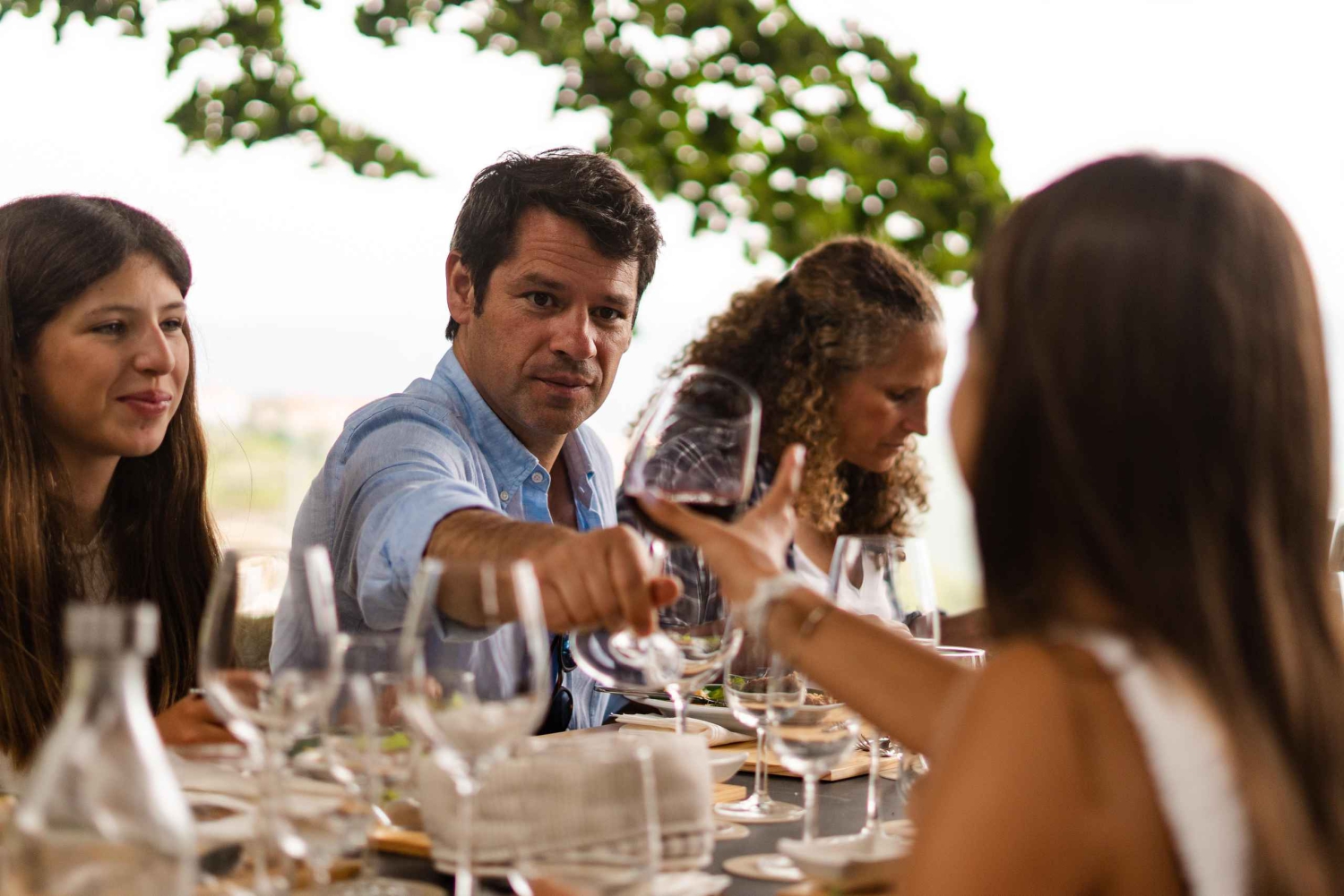 Valle del Douro: tour privato e degustazione guidata di vino e olio d'oliva