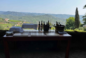 Valle del Douro: tour privato e degustazione guidata di vino e olio d'oliva