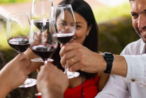 Valle del Douro: tour privato e degustazione guidata di vino e olio d'oliva