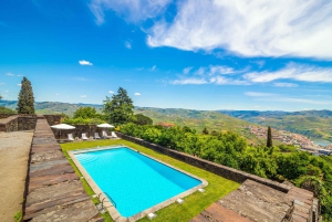 Valle del Douro: tour privato e degustazione guidata di vino e olio d'oliva