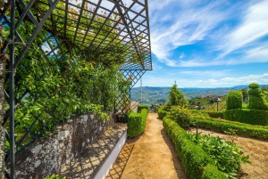 Valle del Douro: tour privato e degustazione guidata di vino e olio d'oliva