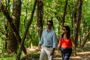 Valle del Douro: tour privato e degustazione guidata di vino e olio d'oliva